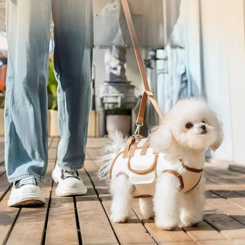 Small Dog Carrier Sling Backpack with Leash Attachment
