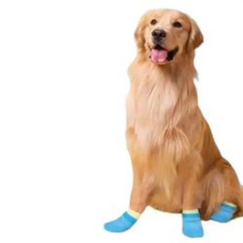 Waterproof Silicone Dog Boots, Non-Slip & Wear-Resistant, Pack of 4
